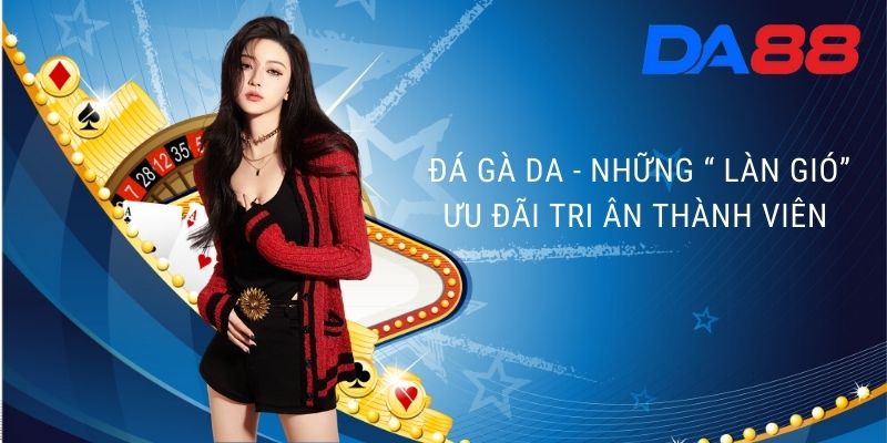 Đá Gà Da - Những “ làn gió” ưu đãi tri ân thành viên 