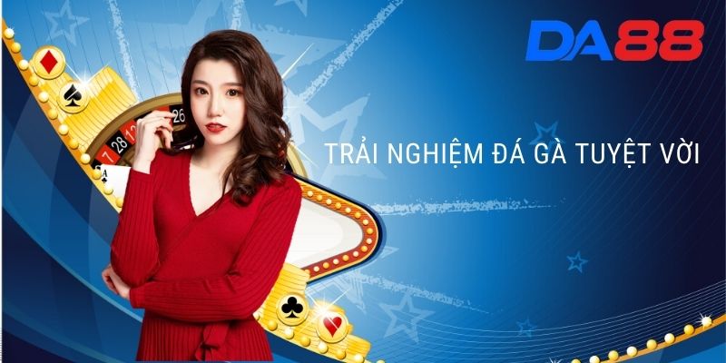 trải nghiệm đá gà tuyệt vời